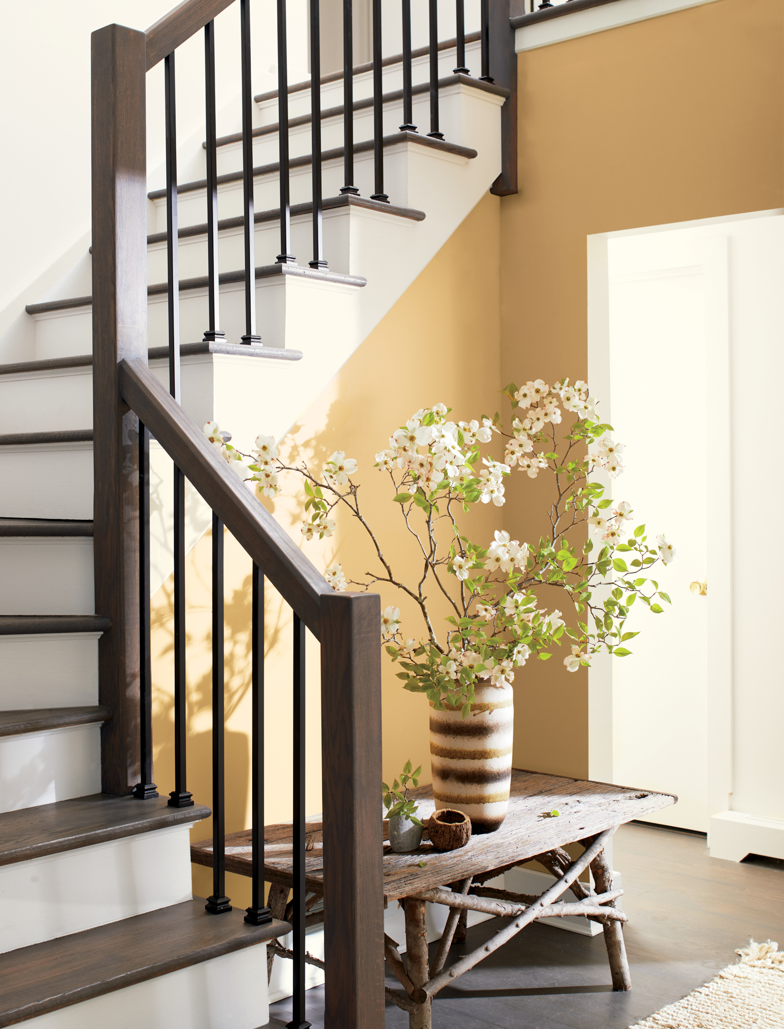 Benjamin Moore Colour of the Year